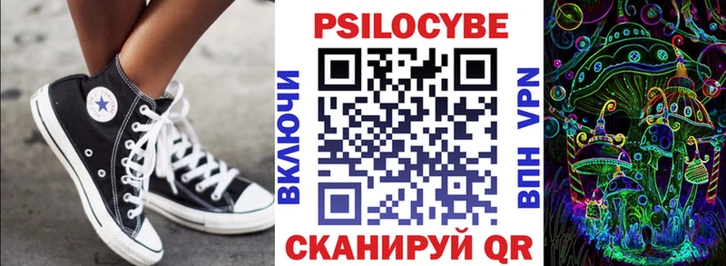 Псилоцибиновые грибы Psilocybe Невьянск