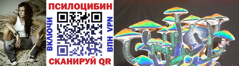 Псилоцибиновые грибы Psilocybe  Невьянск 